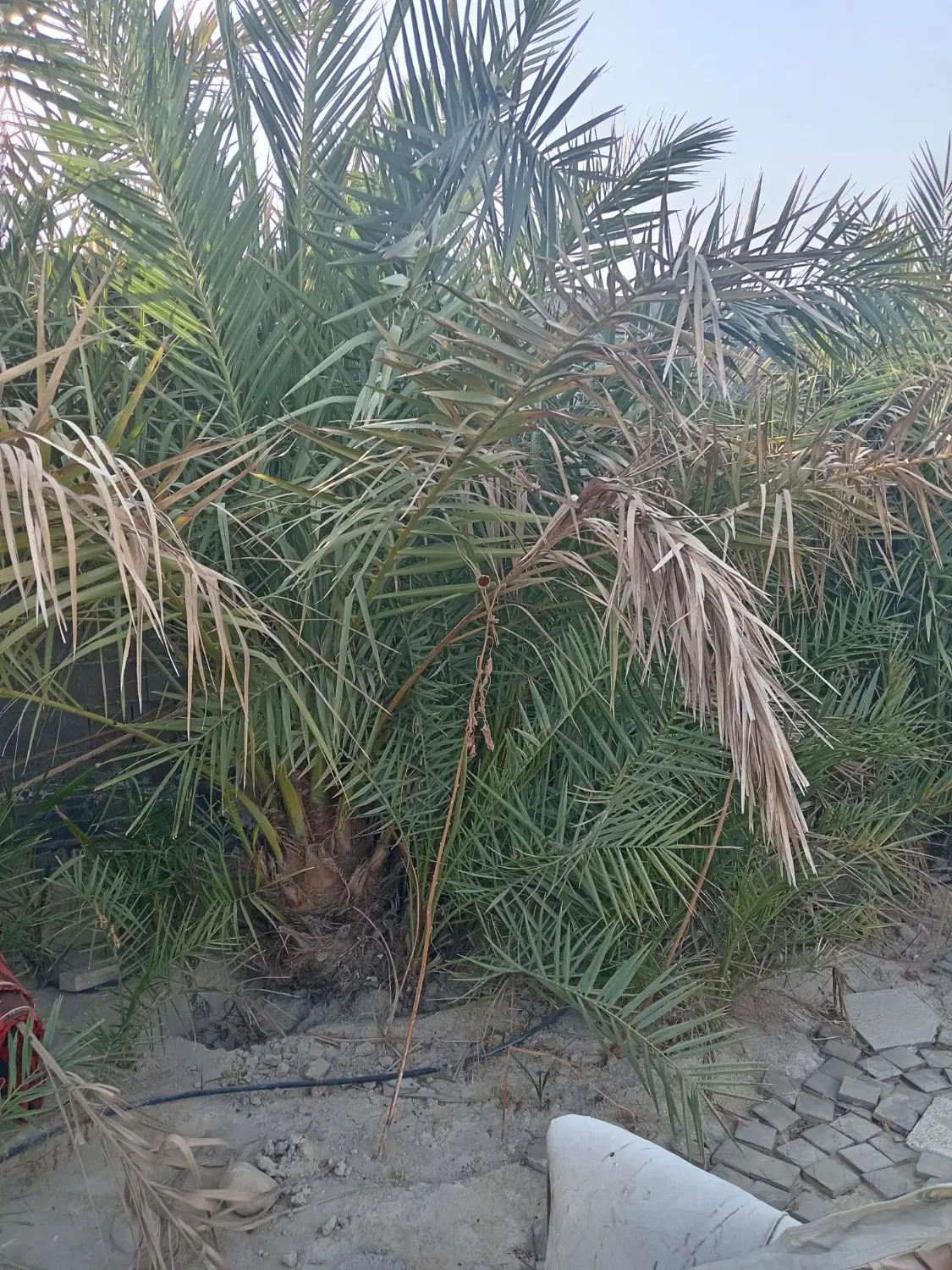 باغچه 400 متری
