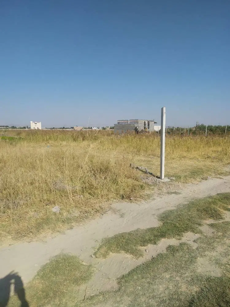 زمین کشاورزی در کاکلر