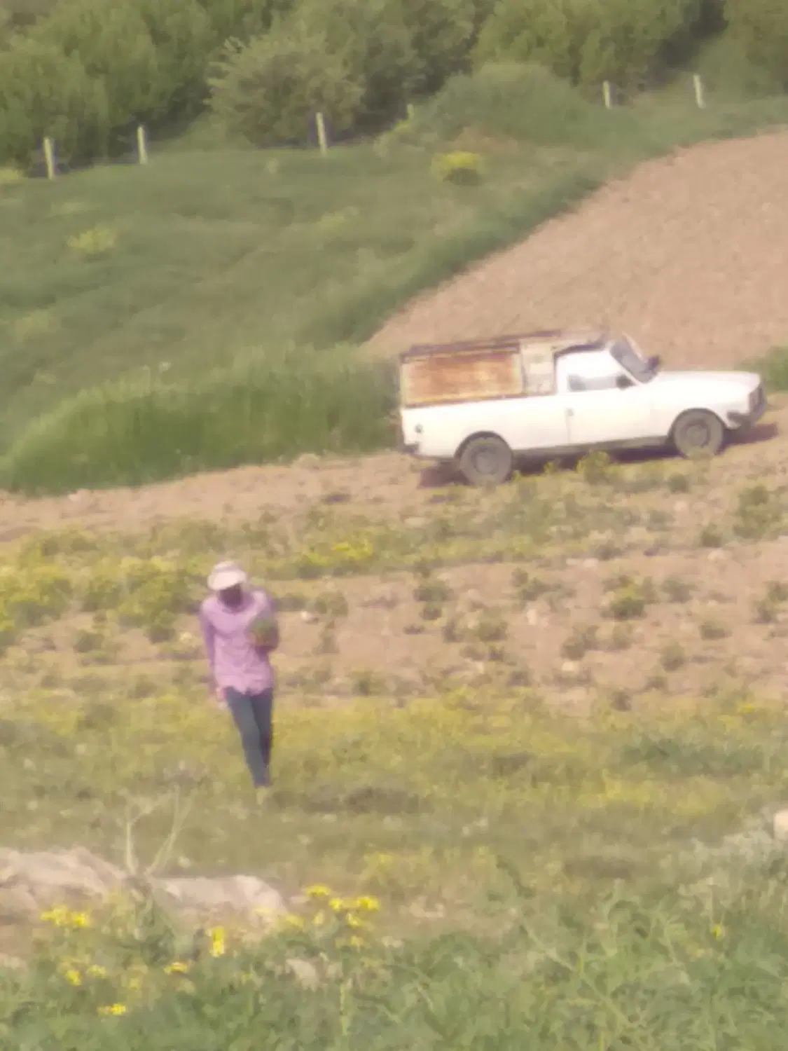 فروش زمین واقع درروستایی بالخچی