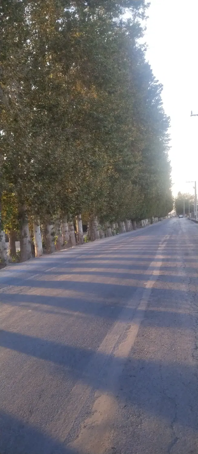 باغ فول امکانات