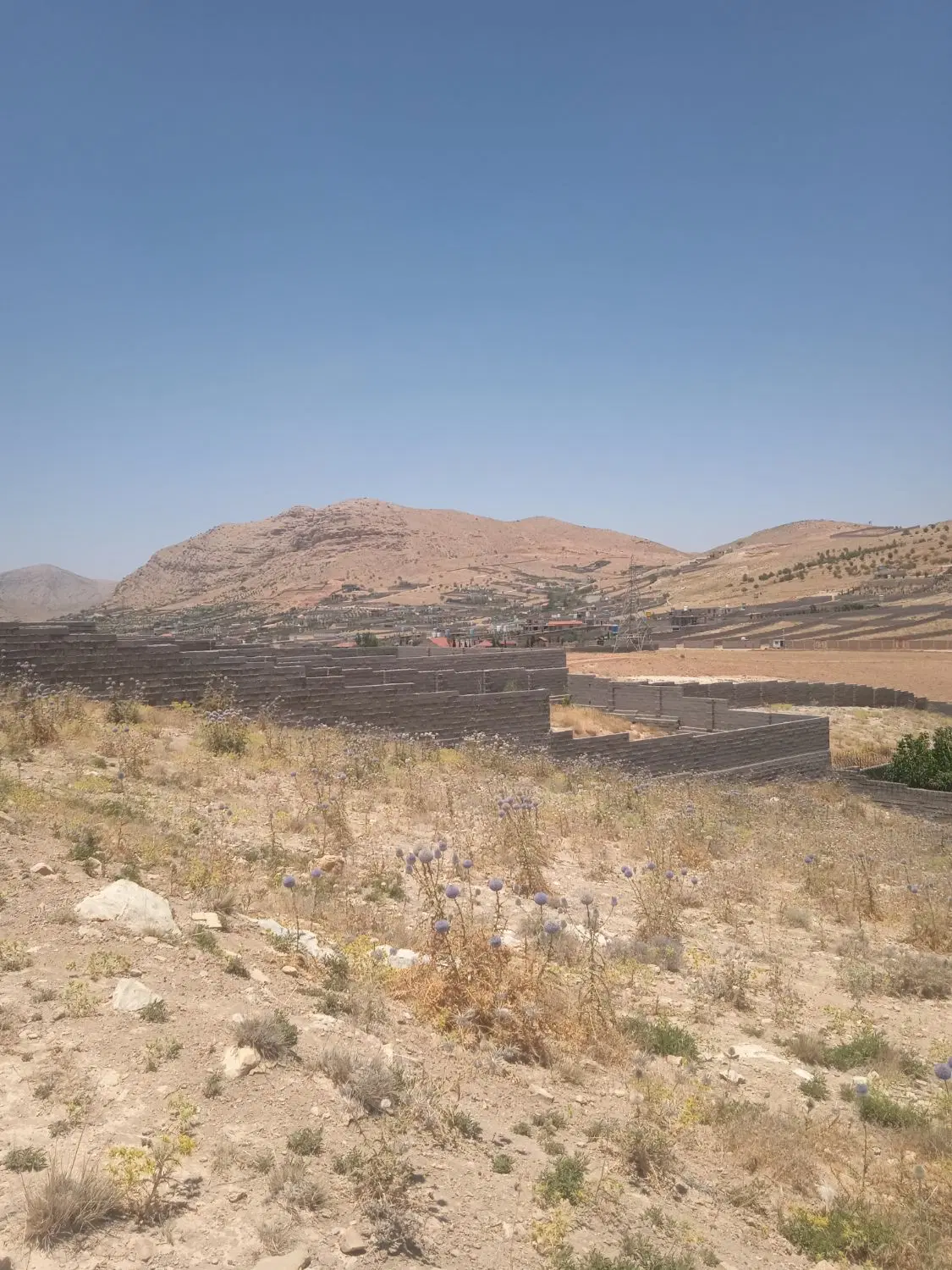 فروش زمین باغ شهری قلات