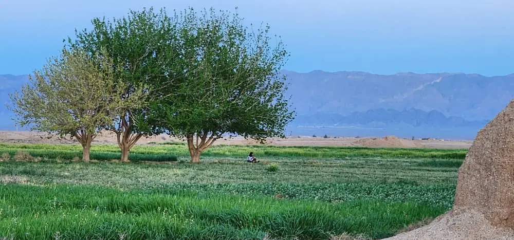 زمین300متری با پروانه ساخت