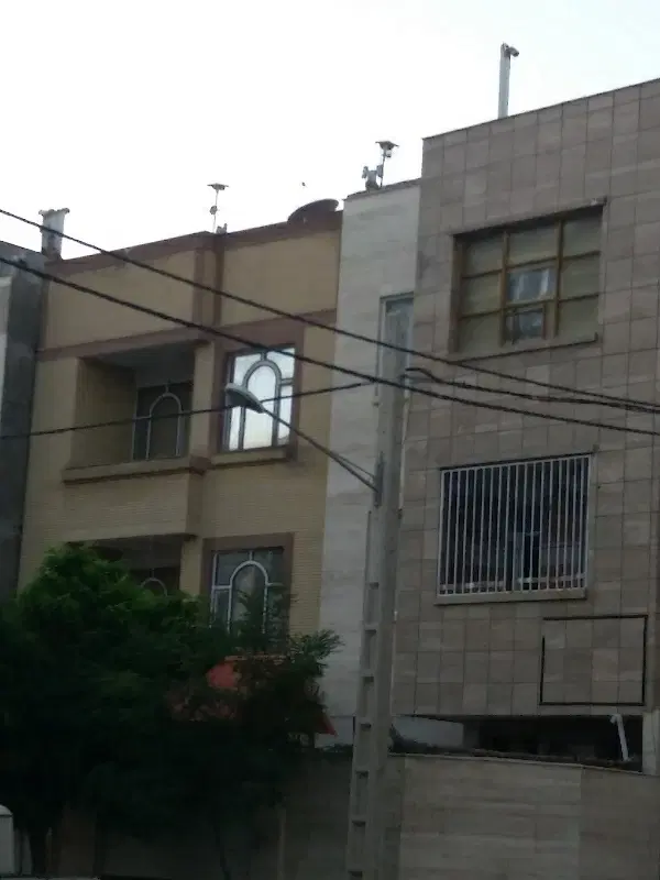یک هم خونه میخوام