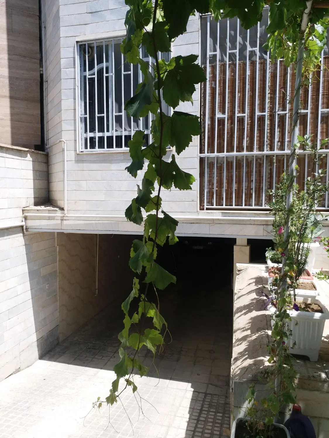 ۲۰۰ متر _ ویلایی_ شمالی _ دهکده المپیک