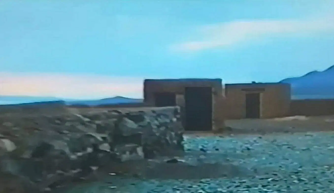 ۴هکتار زمین+گاوداری ۵۰۰ راسی،سند تک برگ،شهریار