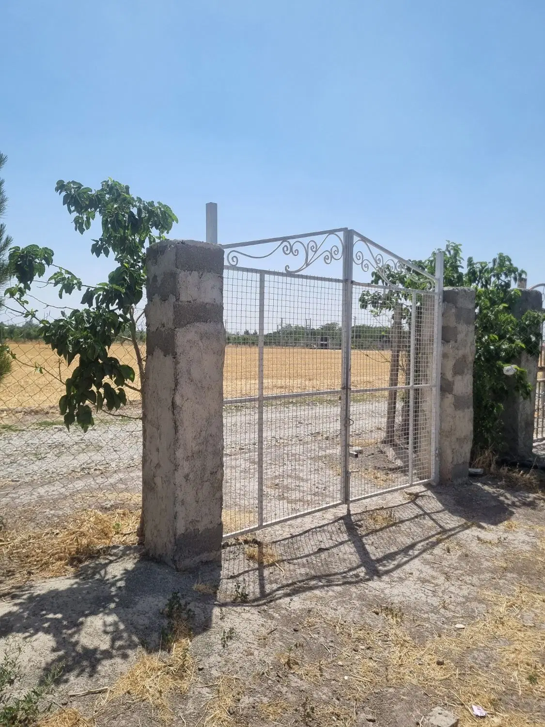 باغچه، استخر دار، درختای میوه، قابل تهاتر با خودرو
