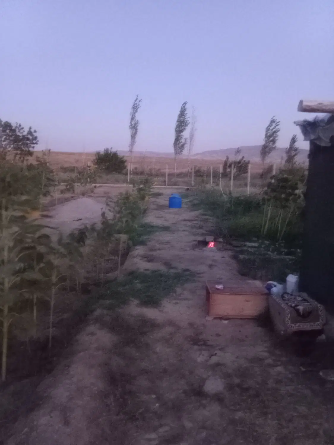 فروش باغ آماده ب متراژ ۱۰۰۰ متر