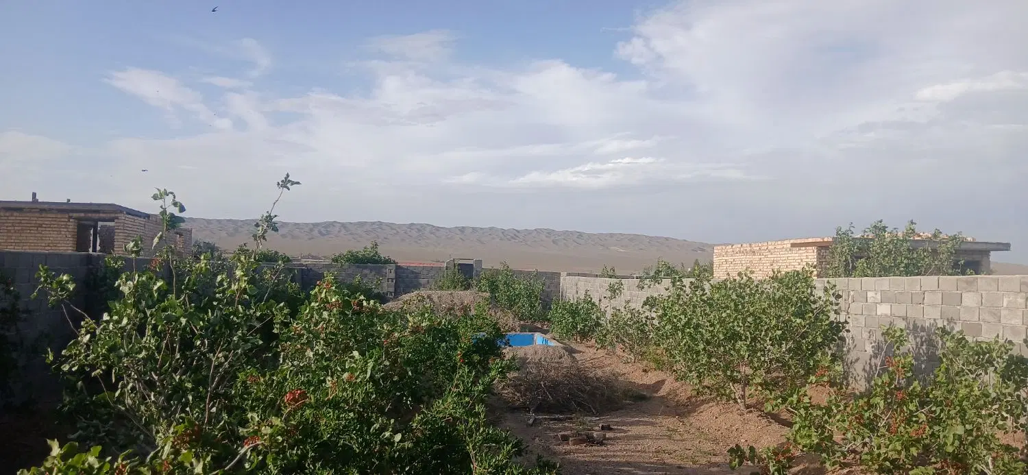 فروش باغچه  در سید قلی