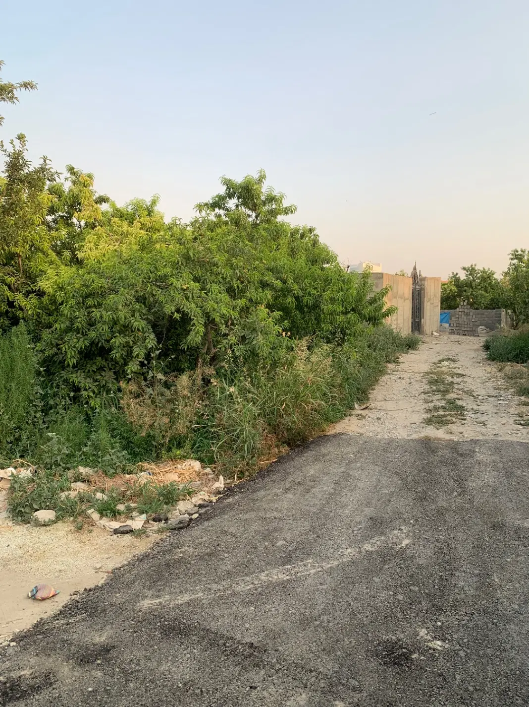 زمین۳۰۰متری تهراندشت