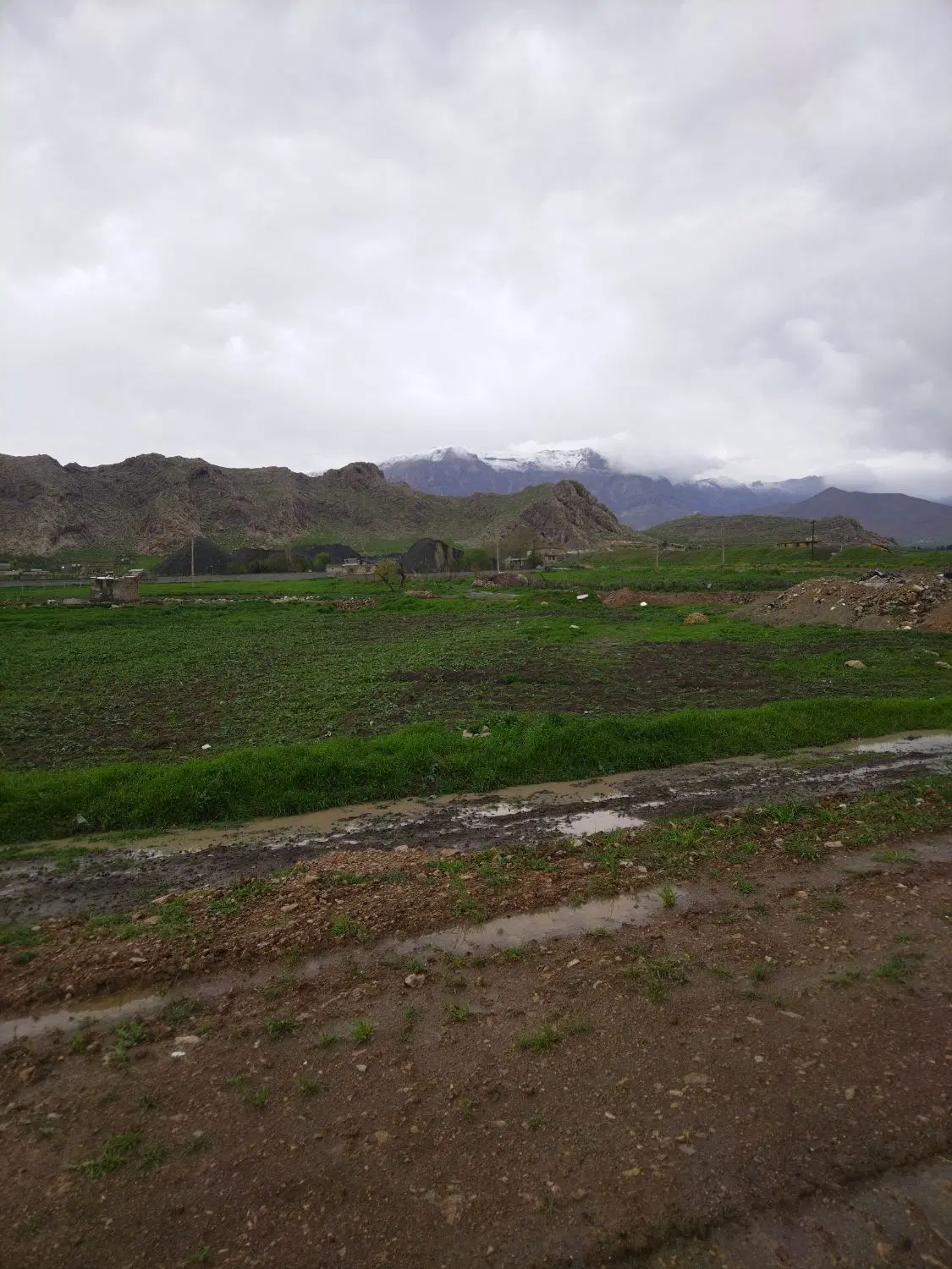 زمین باغ