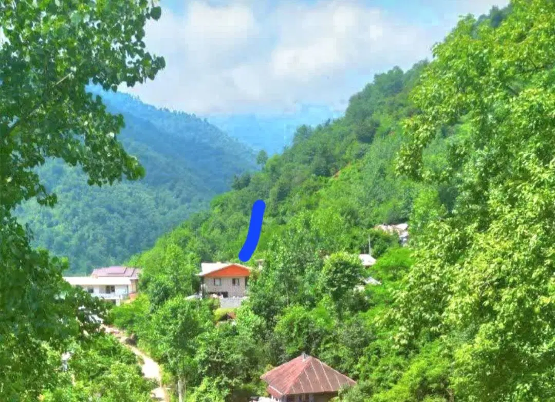 ویلاجنگلی