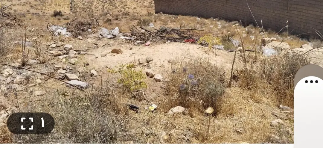 یک قطعه زمین واقع در روستای دهشیخ