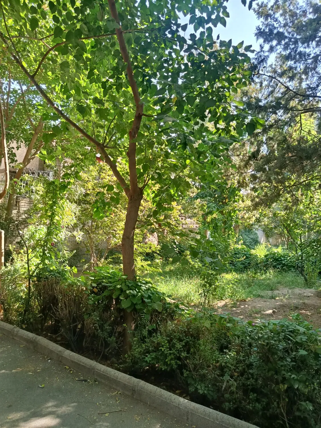 رهن و اجاره منزل ویلایی فولادشهر