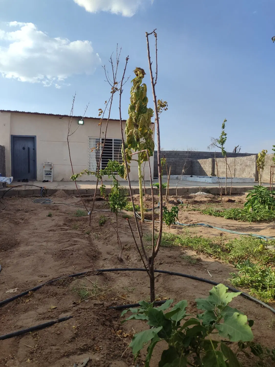 فروش خانه باغ خنامان