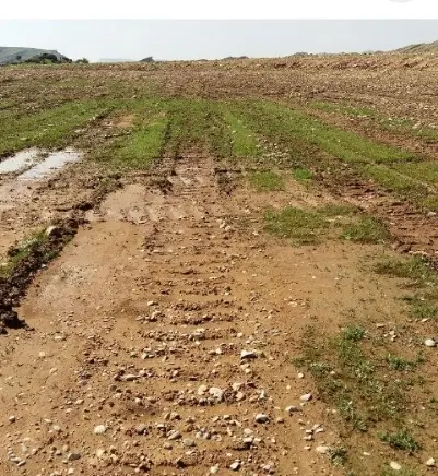 زمین باغ