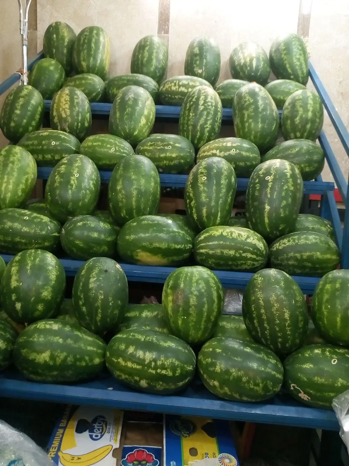 اجاره مغازه