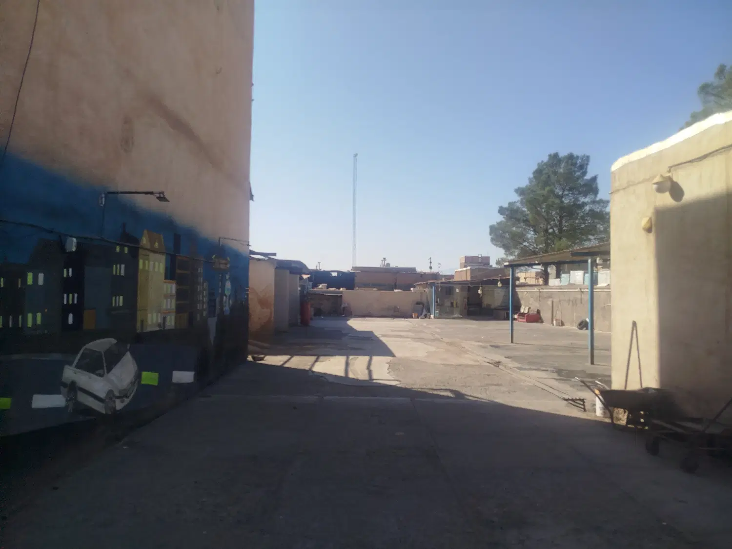 اجاره مغازه جهاد کشاورزی