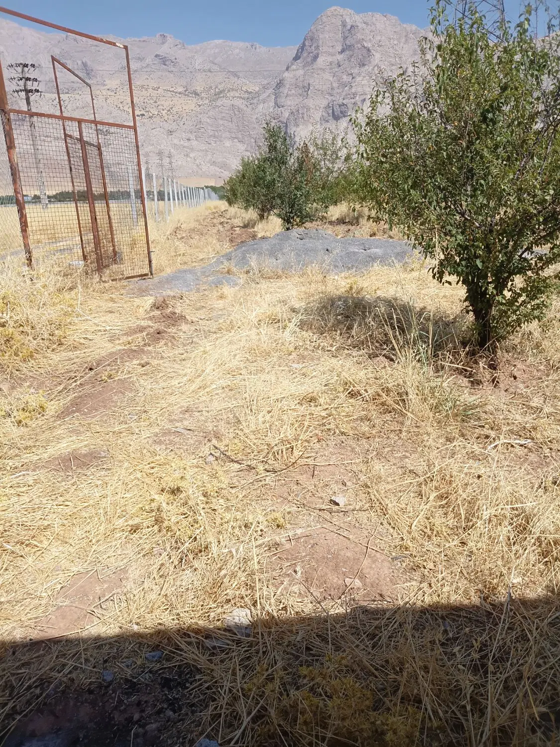 باغ ۱۰۰۰ متری سنددار  معاوضه با خودرو خشک