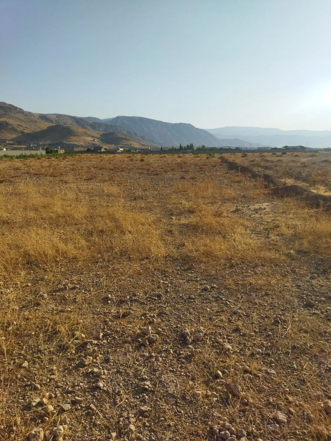 فروش زمین گارگاهی اسطبل گاودار با آب برق در زرقان