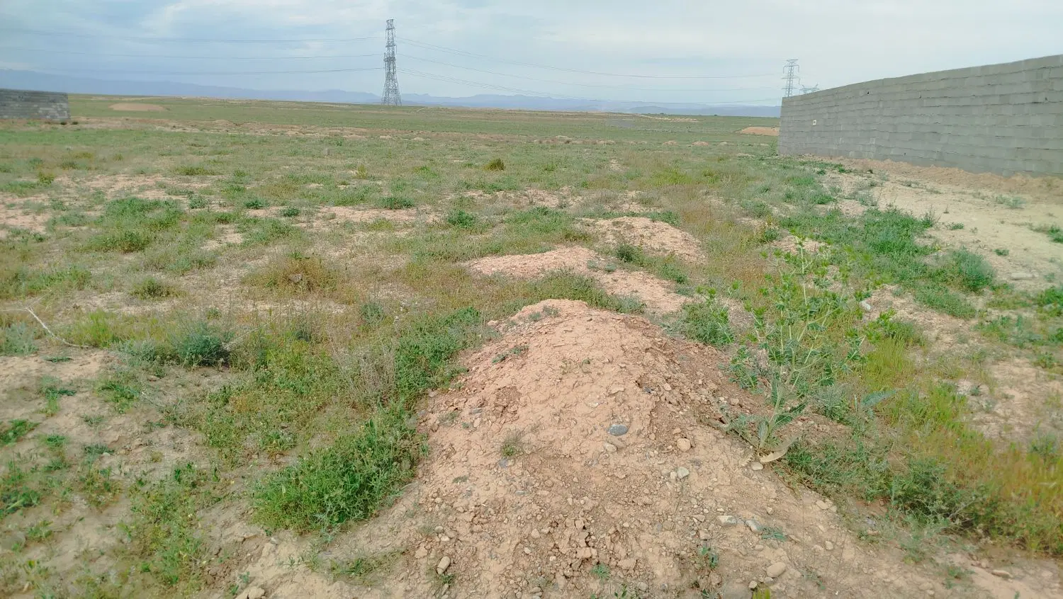 زمین باغی مناسب