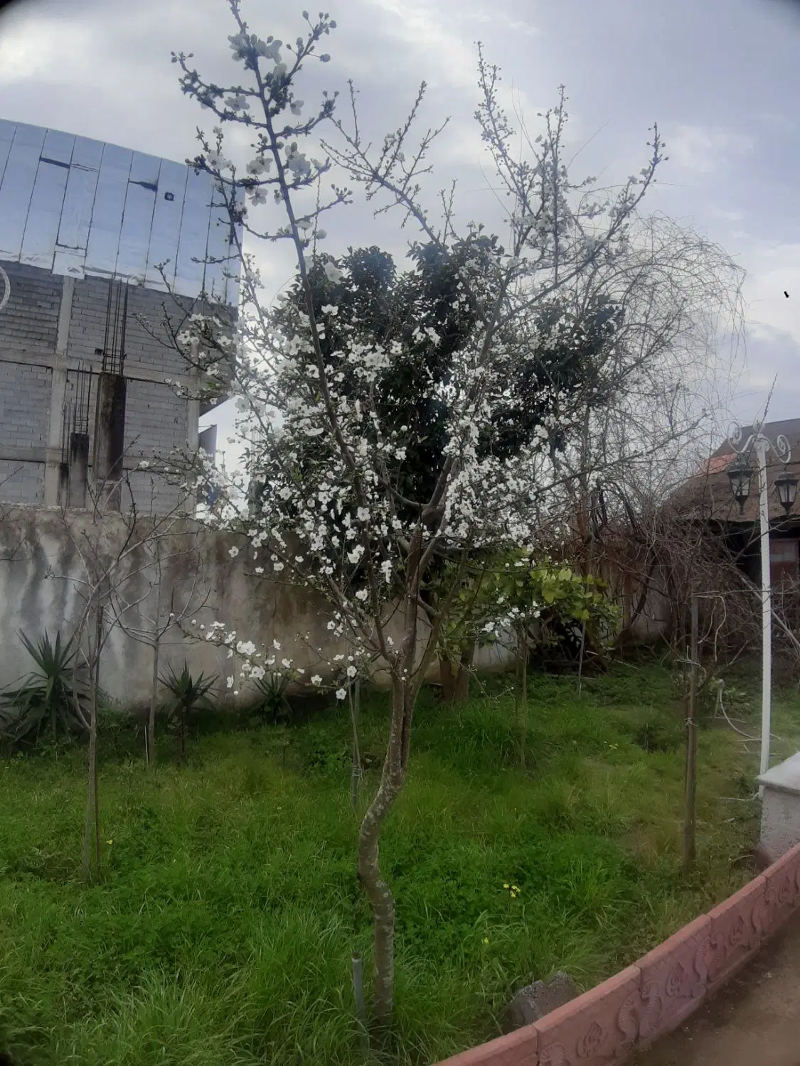 ۶۶ متری خوش نقشه کوه نور
