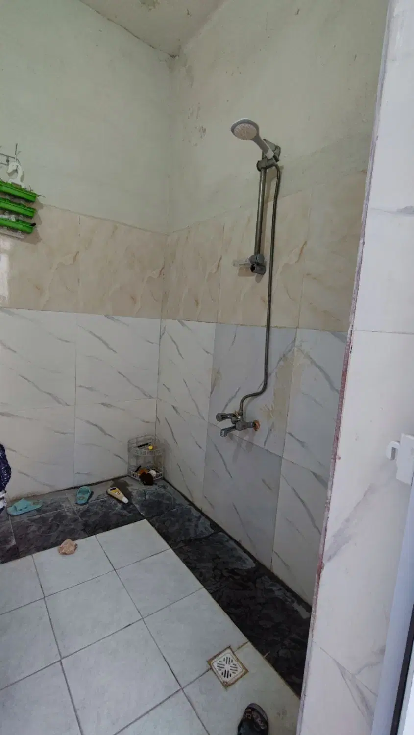 ملک سند تک برگ شیراز