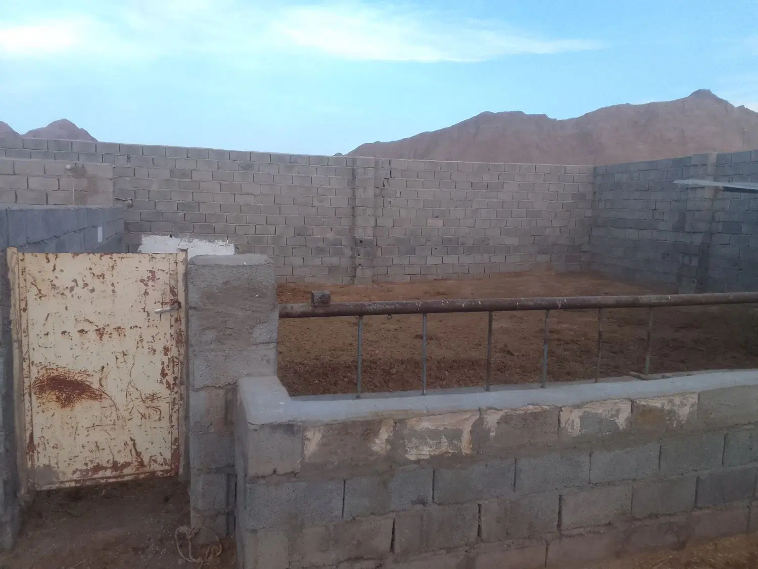 گاوداری ودامداری تفریحی