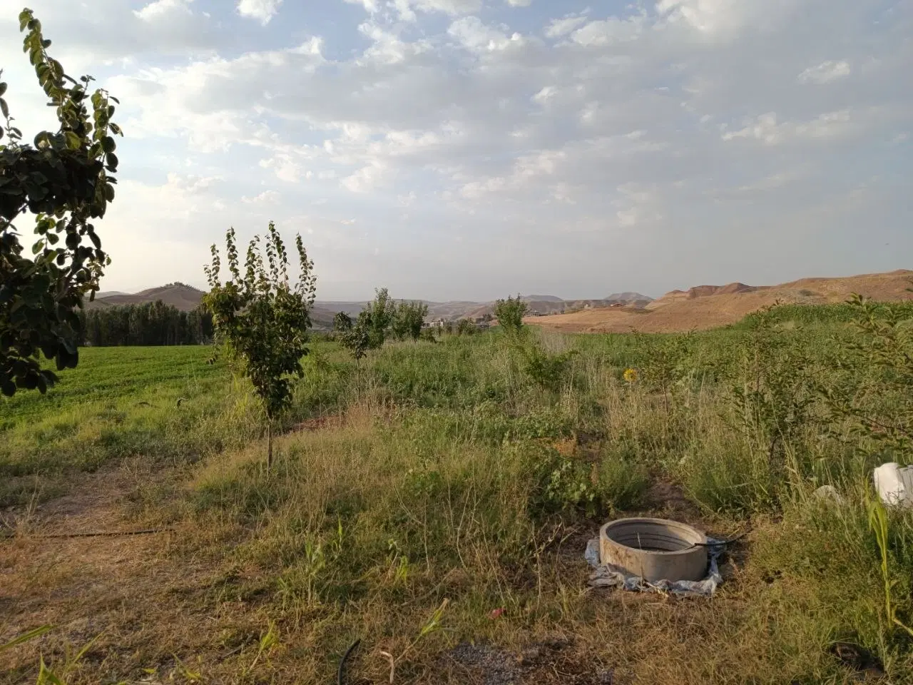 خانه باغ