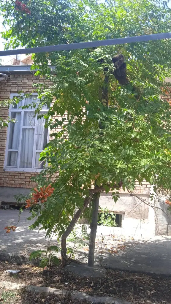 یک باب خانه باغ در اسکو