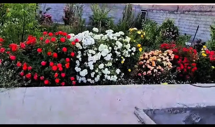 باغ