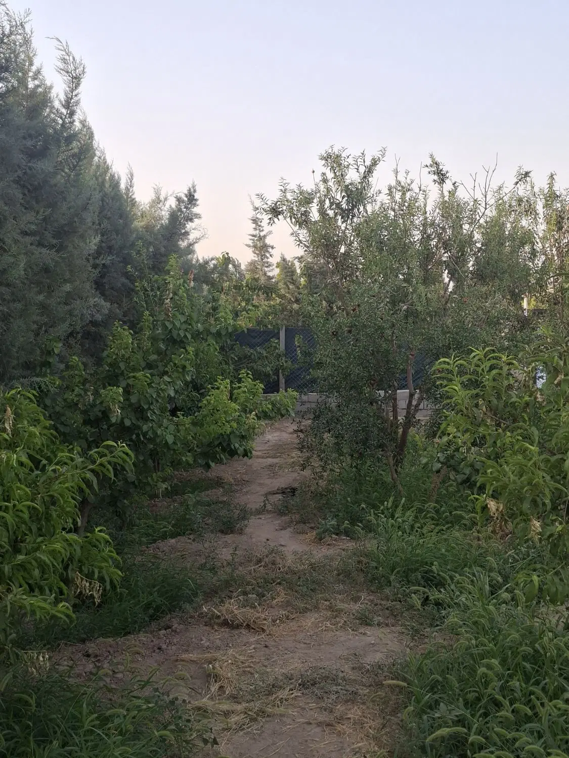 باغچه فیروزبهرام ۶۰۰ متری شهرک شهابشهر