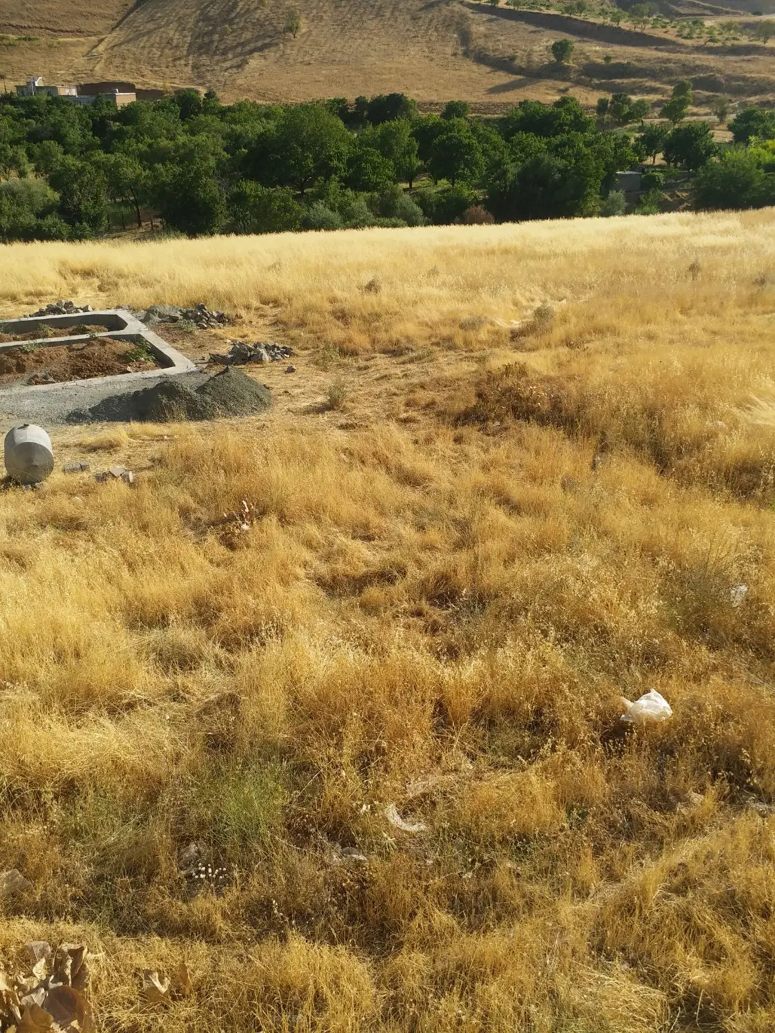فروش زمین یا مشارکت در ساخت حسن آباد
