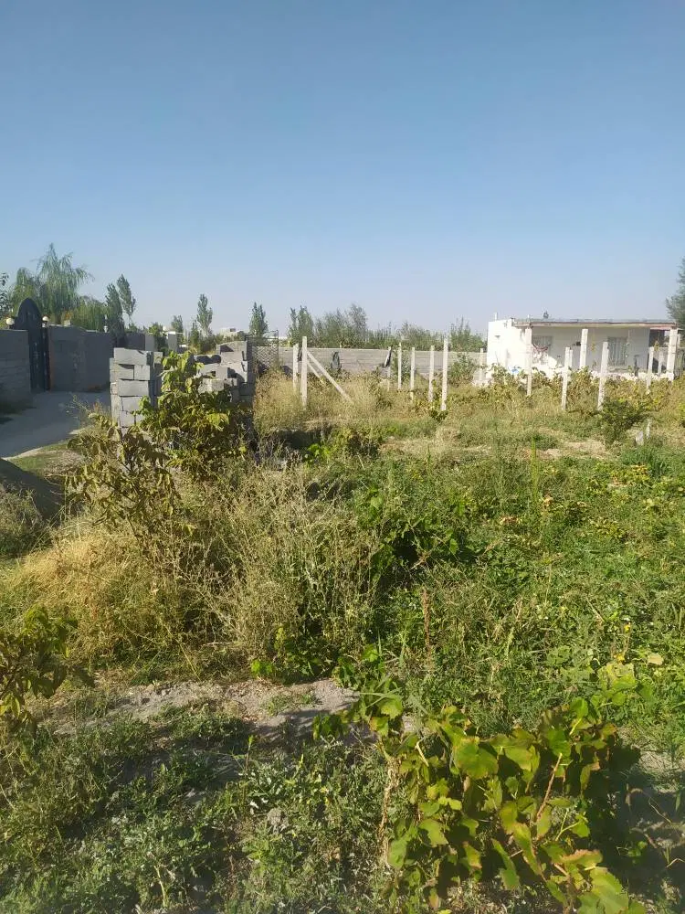 زمین زراعی خالی ۵۰۰ متری