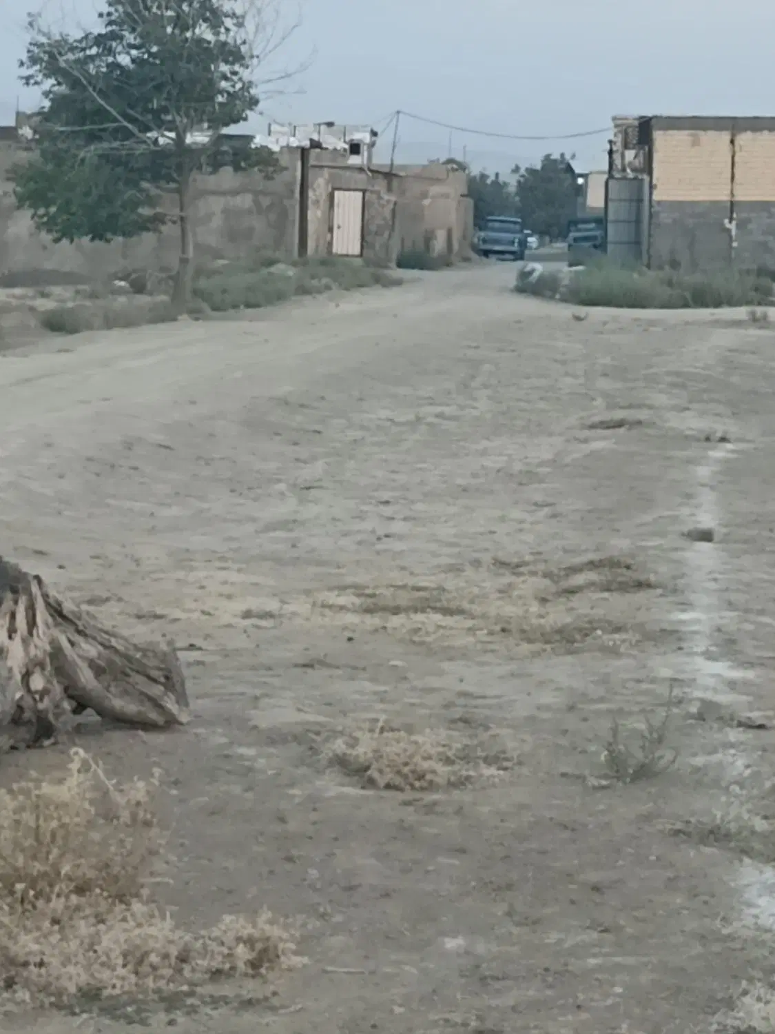 زمین
