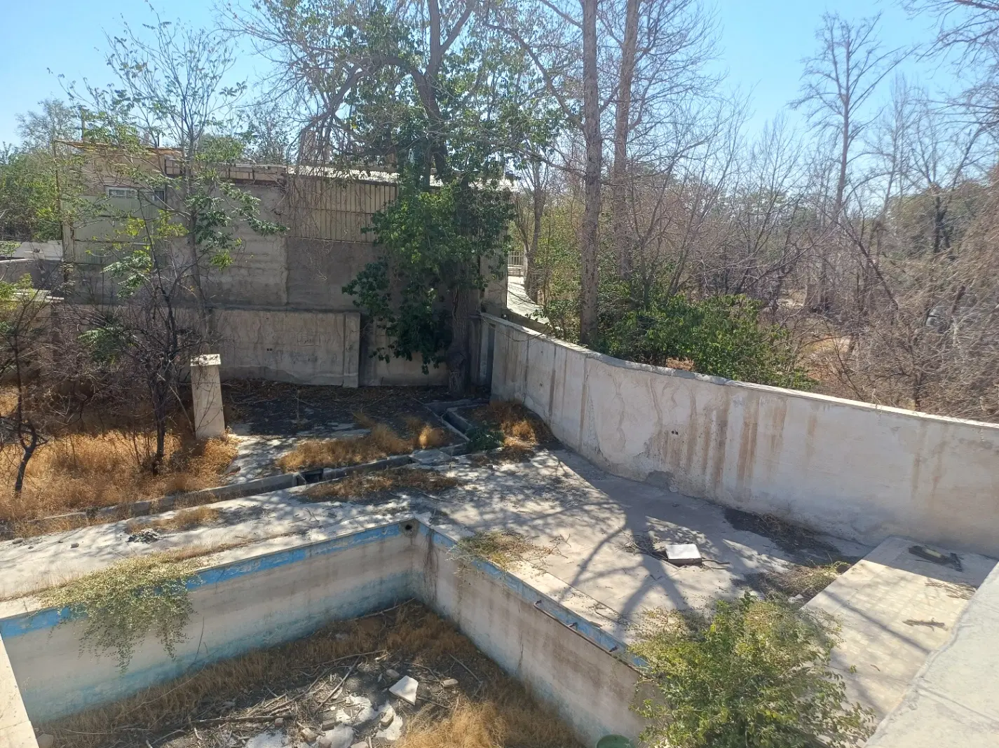 باغ