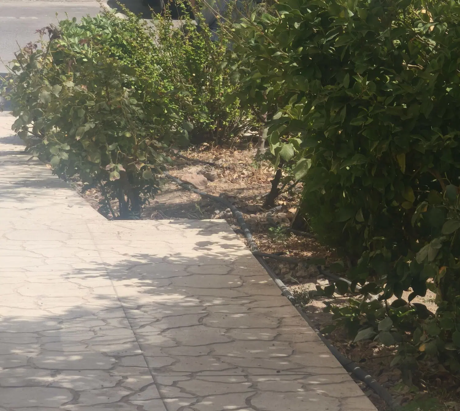 اجاره خانه ویلایی