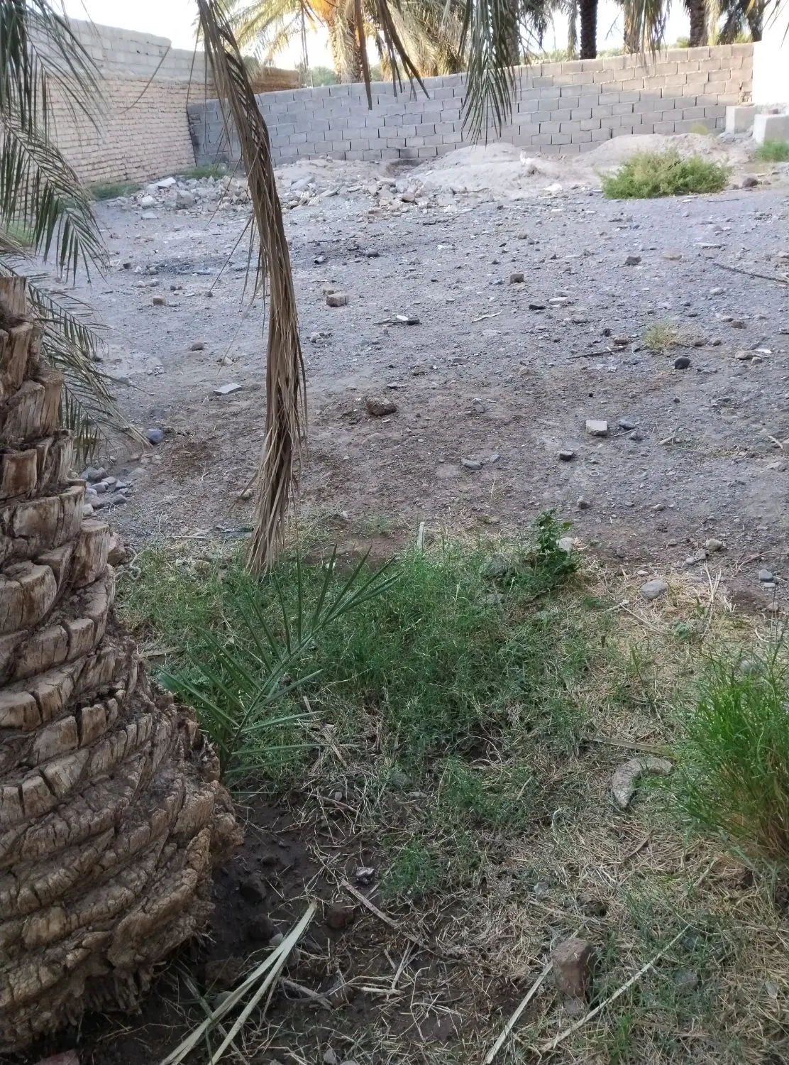 زمین فروشی امیراباد
