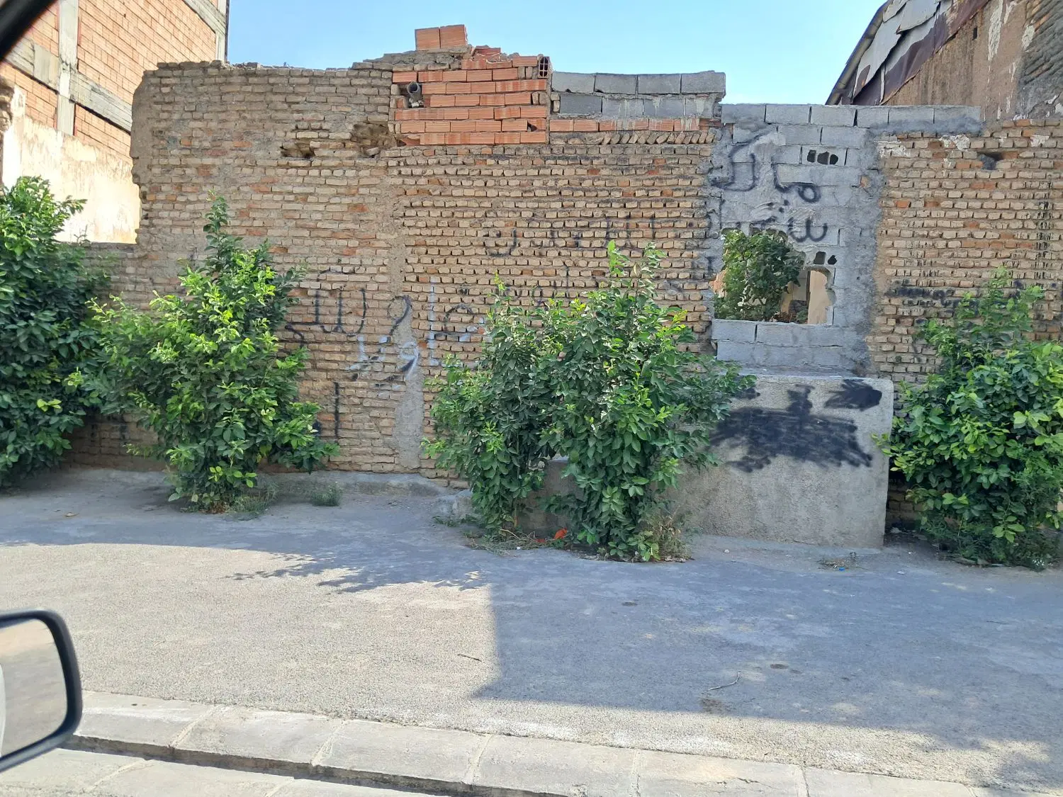 زمین