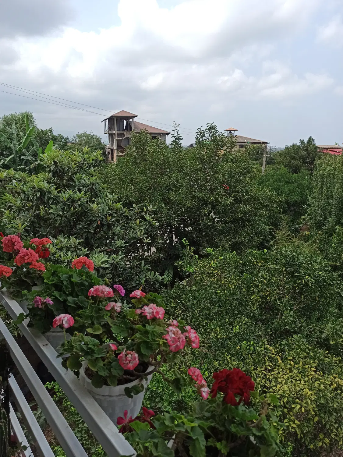 فروش زمین