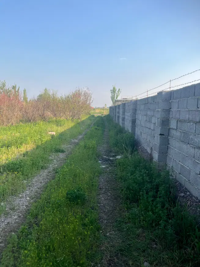 باغچه الوان پنج ساله