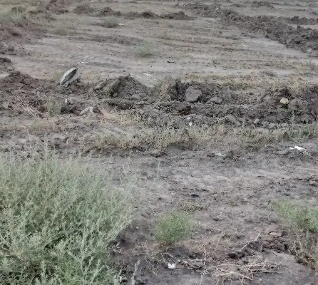 زمین فروشی