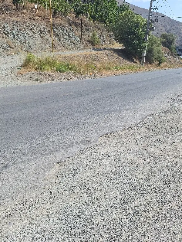 زمین