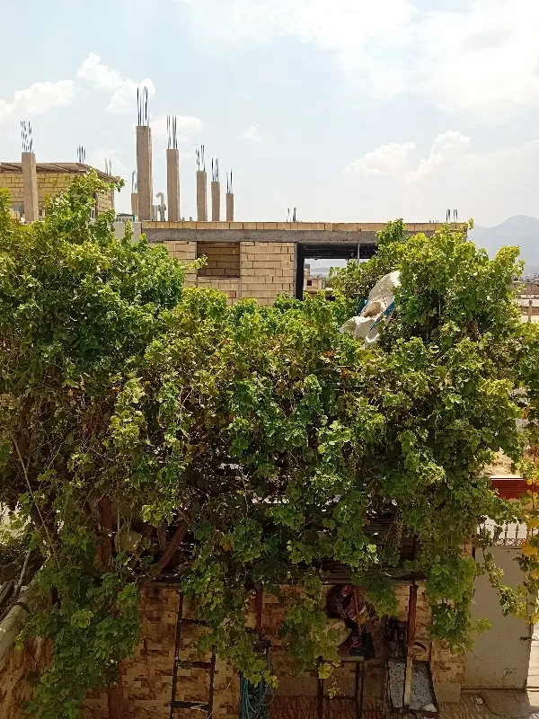 فروش زمین طرح جوانان