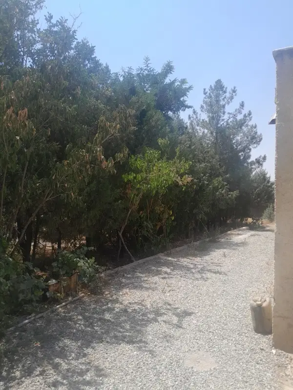 فروش باغ در حاجی بیک