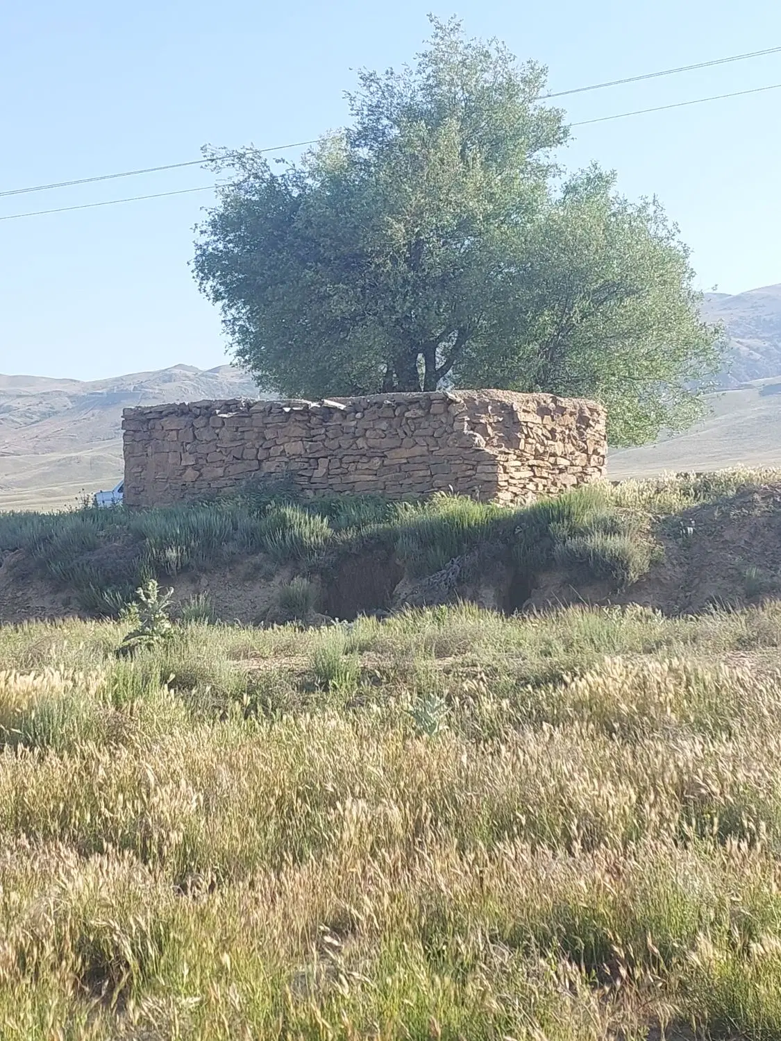 زمین ییلاقی متری ۱۰میلیون