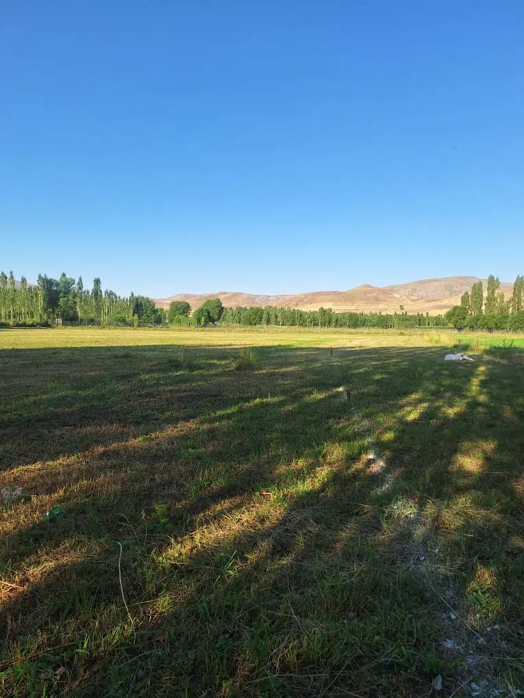 فروش زمین زراعی