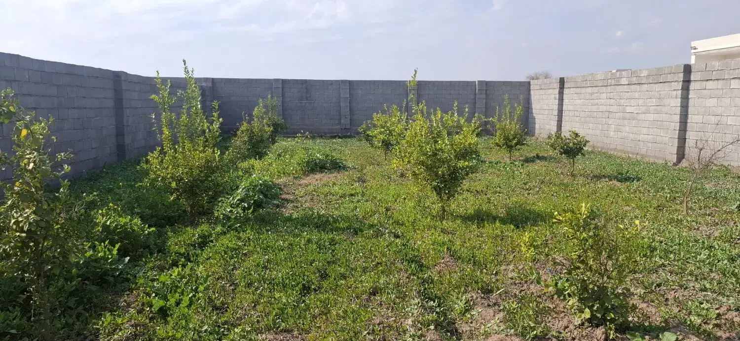 فروش باغچه ۵۰۰متری
