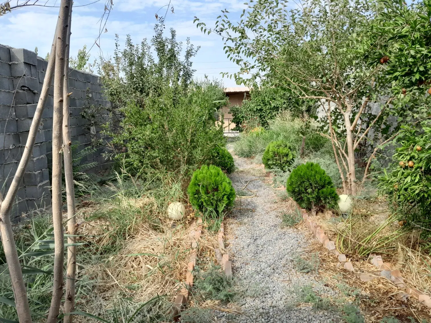 باغ و باغچه نقلی