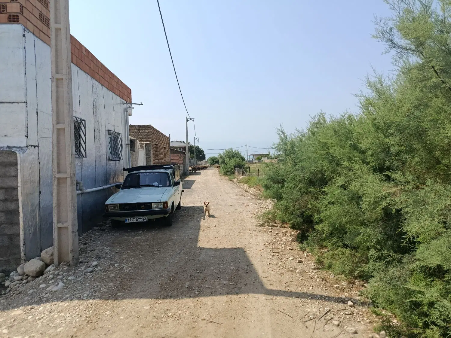 فروش یک قطعه زمین مسکونی در یموت