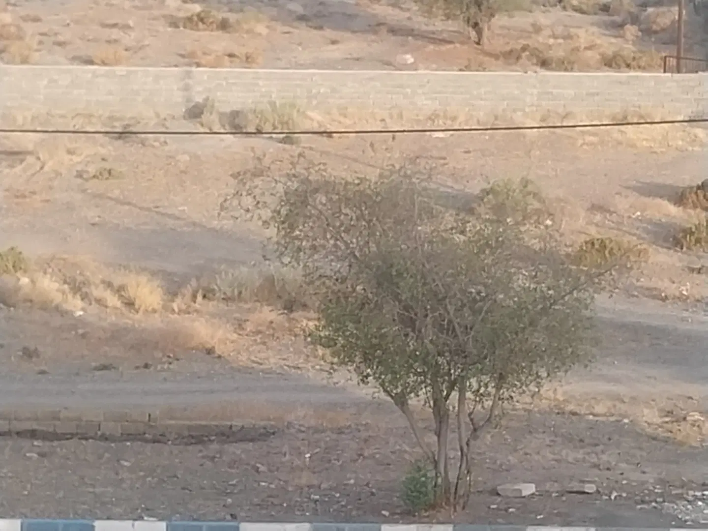 زمین